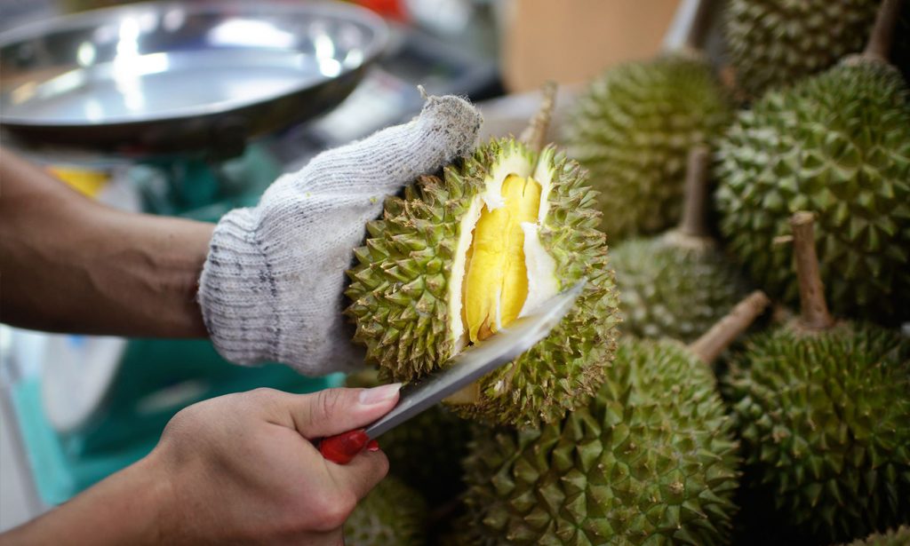 bao sheng durian farm tour