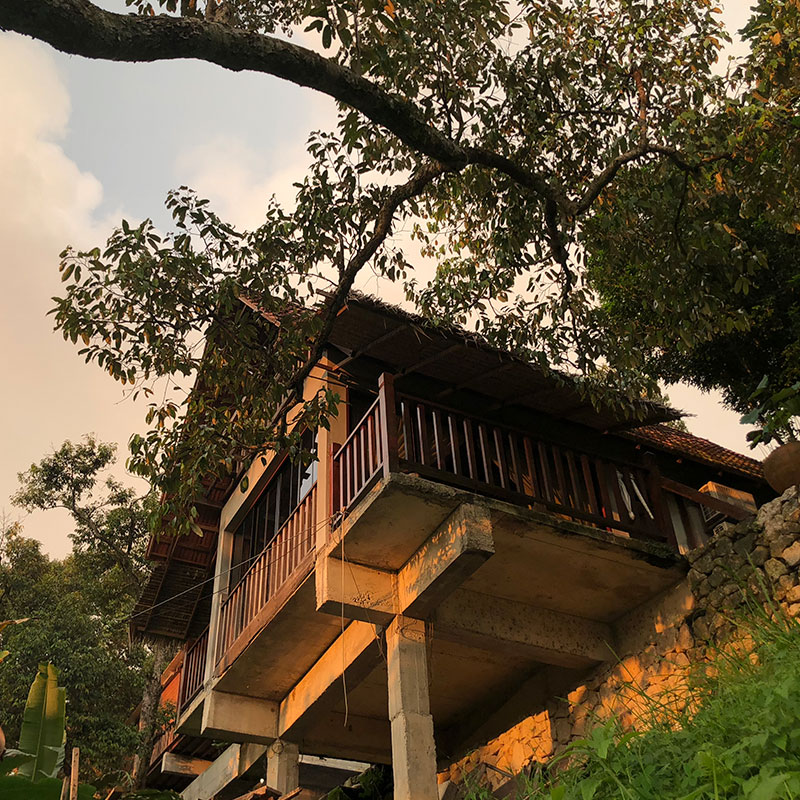 Bao Sheng durian farm