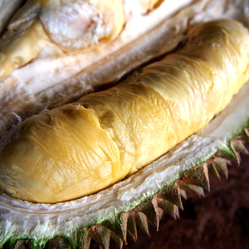 Eat (Season Forecast May-July 2021) - Bao Sheng Durian Farm